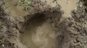 Prehistoric.Planet.S02E03.Доисторическая планета.Девид Аттенборо.