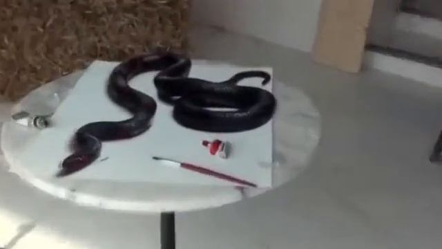 Супер художник смотреть онлайн