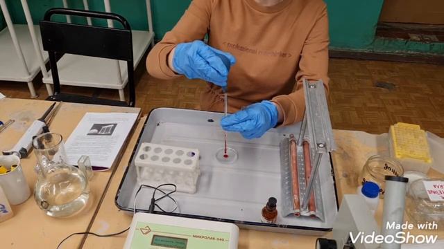 Лабораторная работа 