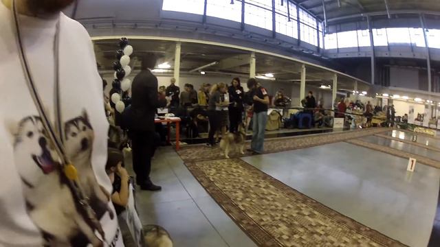 Экспо 2012 Екатеринбург Бэбики кобели смотреть онлайн