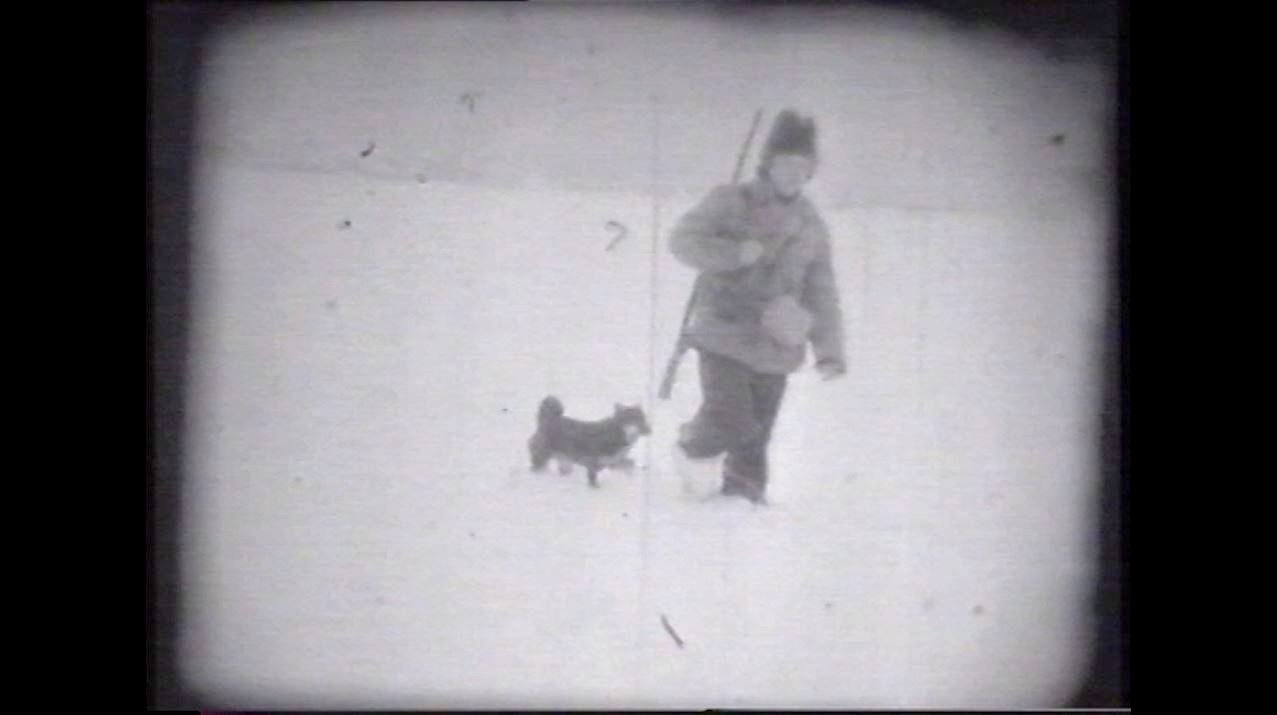 Прогулка в лес зимой 1972 года