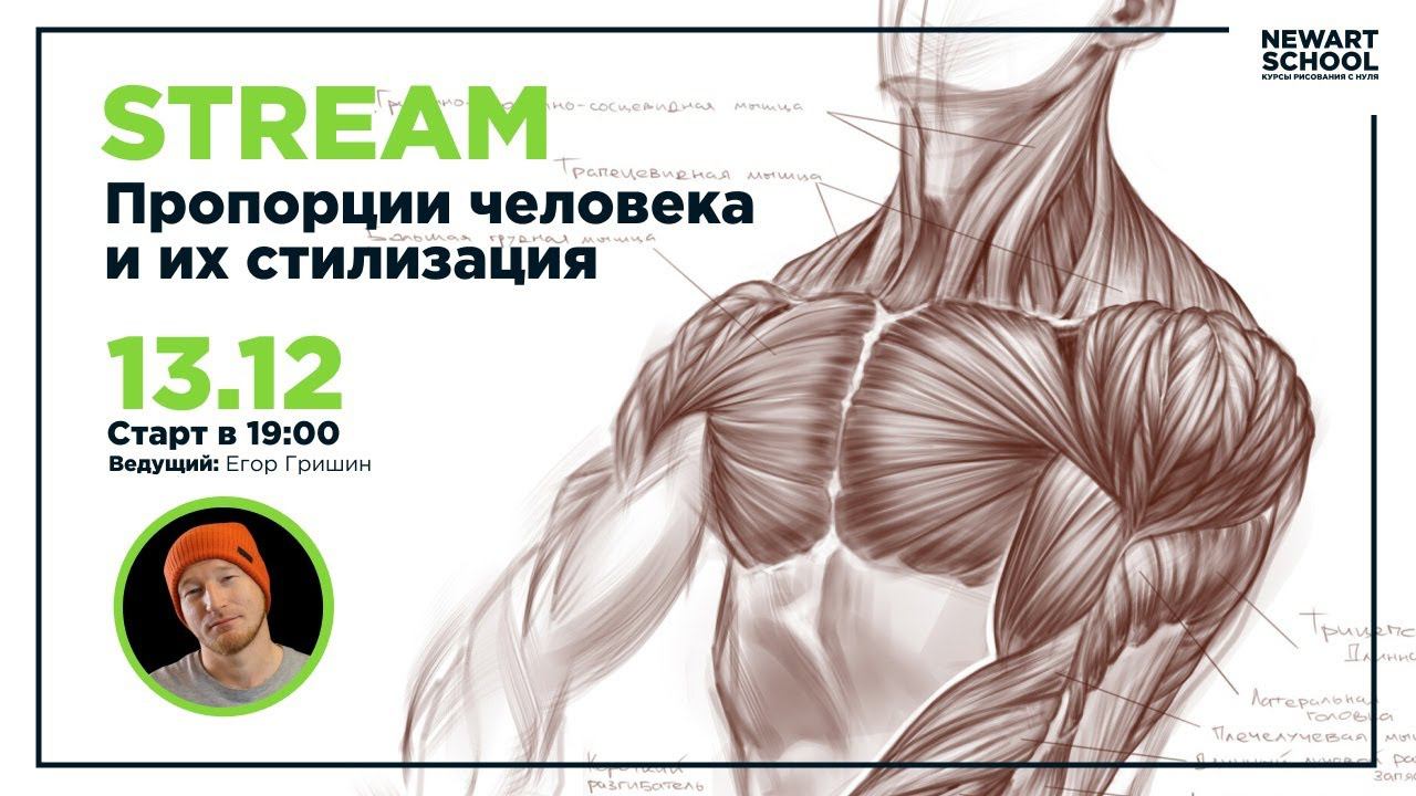 Пропорции человека и их стилизация