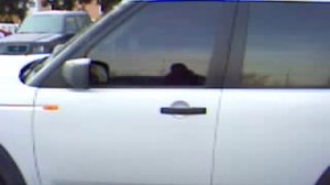 Дискавери 3 06 г. 97