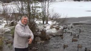 Песня Полада Бюль Бюль оглы в исп Ярослава Семенова