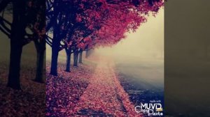 Мысли о ней