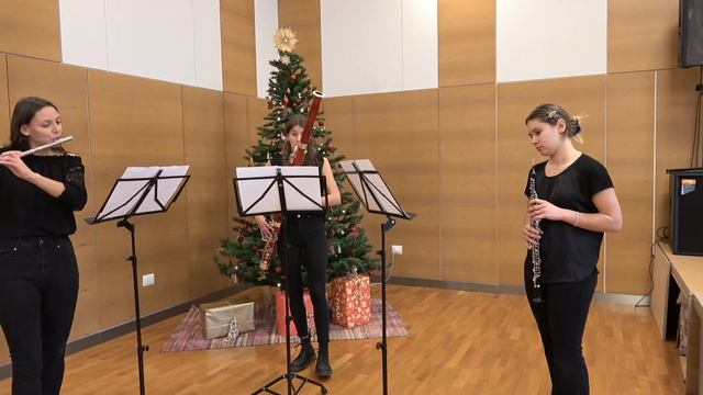 "Concerto in G minor" - A. Vivaldi смотреть онлайн