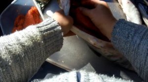 ПОРЮ САМОК! Как добывают красную икру. Красная Икра.