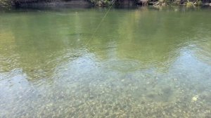 Рыбалка на Камчатке | Река Большая с Kamchatkaland