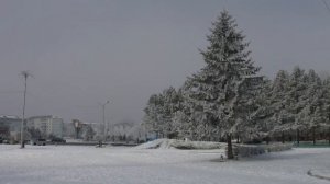 Лучегорск клип