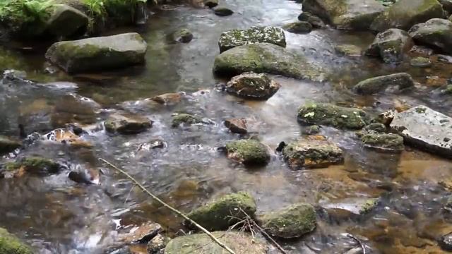 Шум воды, Медитация с шумом воды, натуральные звуки природы, Релаксация. смотреть онлайн