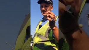 #ГАИ2014. Сериал о беспределе старых ГАИшников