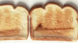 Toasts en stop motion