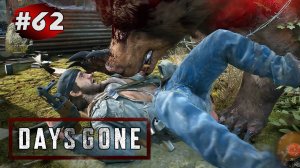 DAYS GONE (Жизнь После) ➤ Прохождение # 62 ➤Найти Мэнни / Схватка с Медведем