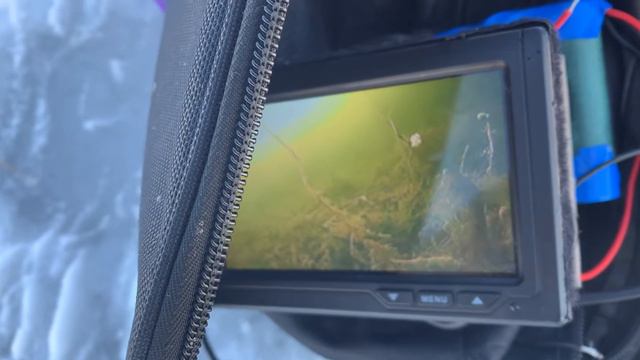 РАТАН КЛЮЕТ КАК ИЗ ПУЛЕМЕТА .ОТКРЫТИЕ СЕЗОНА 2021-2022/ Ratan's furious biting captured on camera смотреть онлайн