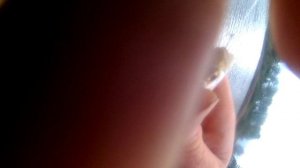 Летняя рыбалка.