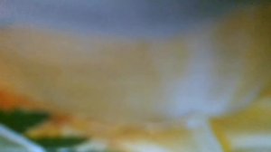 Московская прописка(Я хочу, хочу, хочу в Москву. Разгонять, гонять, гонять тоску. Разгоню(наброски)