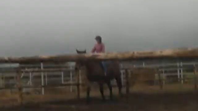 Золотая Подкова . Глубокое .