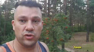 Машина глохнет при перехода с газа на бензин. Ремкомплект, Замена крышки. Lovato Smart ExR. Asker