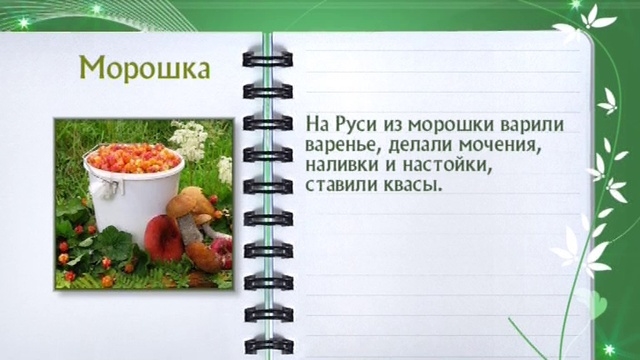 Морошка, ягода. Кулинарная энциклопедия. Выпуск № 305