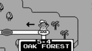 Adventure Island II: Aliens in Paradise (Game Boy) [1993]. Longplay. No comments.