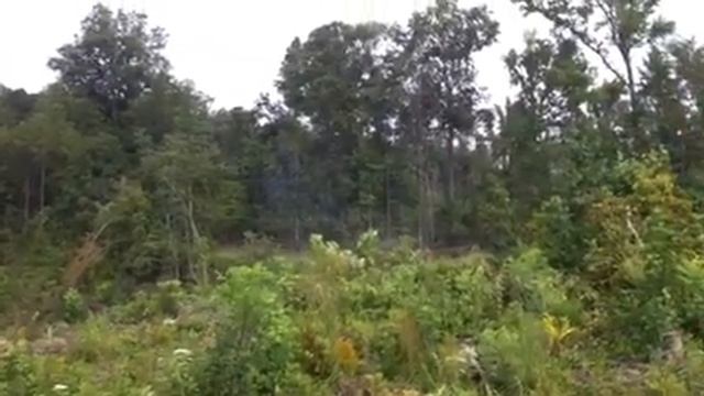 Forestry Solutions Skidder Spraying