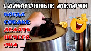 Реанимация РПН не в барде , а в браге во время перегона . Ниочёмный эксперимент ))))