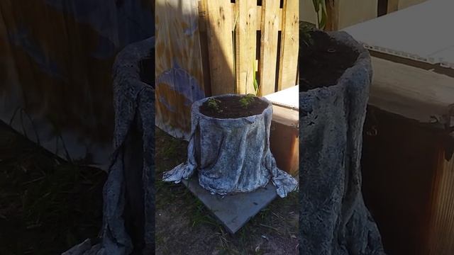 сад #своими руками#поделки#цемента# смотреть онлайн