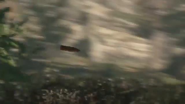 Sniper Elite 4 не запускается на Windows 7 8 10, Sniper Elite 4 не работает смотреть онлайн