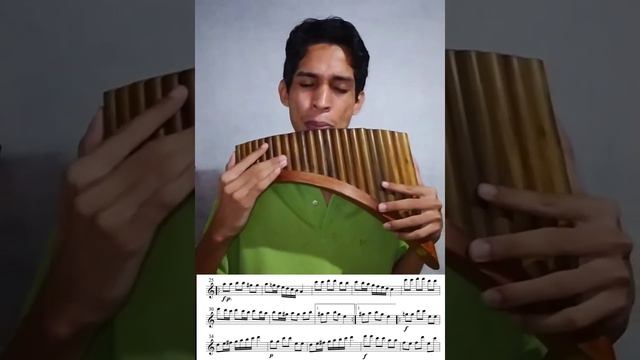 Julio Diniz - Flauta Pan - Telemann - Suite in A minor - Minuet смотреть онлайн