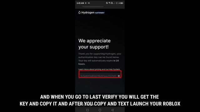 Hydrogen - MOBILE EXECUTOR HOW TO GET KEY IN HYDROGEN LASTEST | 2022 FIX ERORR AND CRASH смотреть онлайн