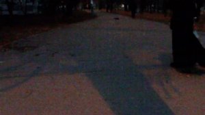 Traxxas E-Revo (г.Харьков Холодная Гора)