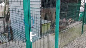 Эко-хуторок. Первое знакомство с базой отдыха. Обзорный ролик