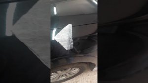 Как легко убрать птичий помёт с кузова авто...