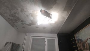 Обновление потолка в зале