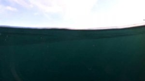 Обзор морского каяка CATSHARK | КРЫМ - КАЯК.РФ