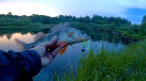 Джиг на рассвете.  Щука на завтрак. Graphiteleader Vivo EX GLVXS-762M