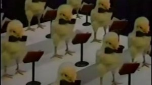 (LOST MEDIA)  Asociación peruana de avicultura - Pollitos, Peru 1996 (Especial del pollo a la brasa