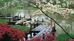 Падал прошлогодний снег... HD Флейта.