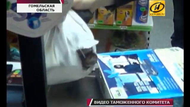 12 змей в поезде Киев – Санкт-Петербург обнаружили таможенники смотреть онлайн