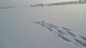 Новоселицкое водохранилище Волчьи ворота. Эх хвост чишуя не поймали ничего.