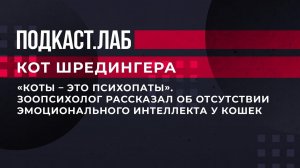 "Коты - это психопаты". Зоопсихолог рассказал об отсутствии эмоционального интеллекта у кошек.