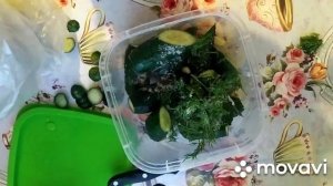 Молосольные огурчики. Мой любимый рецепт. Быстро и вкусно!!!