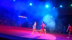 НАЦИОНАЛЬНЫЙ ЦИРК УКРАИНЫ: СЛОН И ПОЛОСАТЫЙ РЕЙС НАЦИОНАЛЬНЫЙ ЦИРК УКРАИНЫ 2018, КИЕВСКИЙ ЦИРК