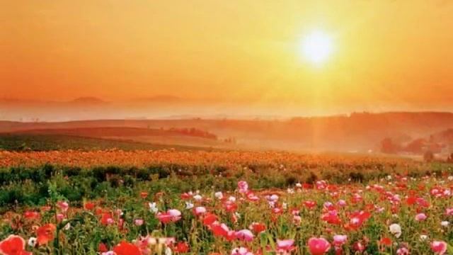 ОЧЕНЬ КРАСИВАЯ МУЗЫКА. (ДУДУК, САКСОФОН, ФЛЕЙТА) Послушайте. смотреть онлайн