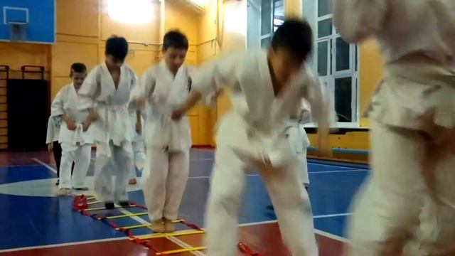 СФП #15 Скоростная лестница - Координационная лестница в Кёкусинкай карате. Упражнение для детей