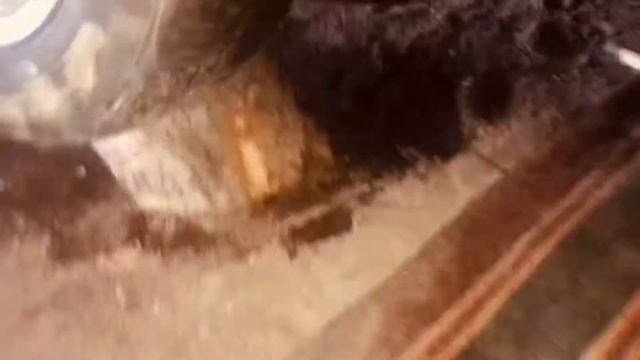 Toyota Lucida, estima 2.2 дизел как снять двигатель смотреть онлайн