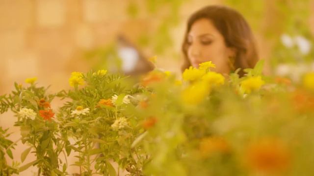 Seeta Qasemie - Yare Hawasbaz (Official Music Video) / سیتا قاسمی - یار هوس باز смотреть онлайн