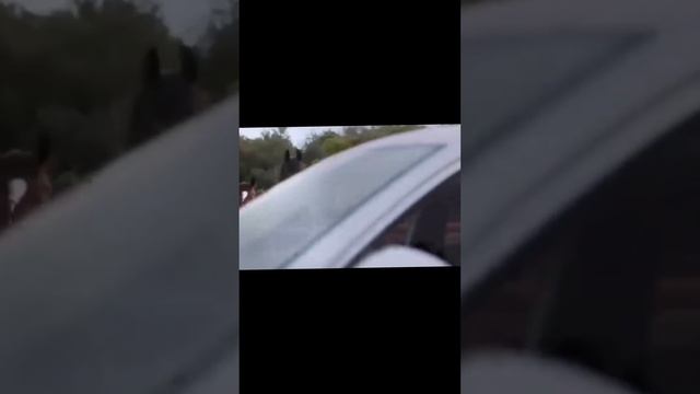 Volkswagen Das auto откуда мем?