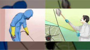 БОЛЬШЕ НИКАКИХ ПАУКОВ В ДОМЕ!! Этот трюк слишком прост, чтобы не знать о нём