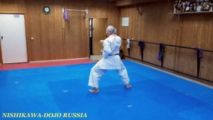 Ката Нисейси Вадо каратэ